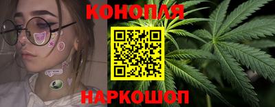 индика Пенза