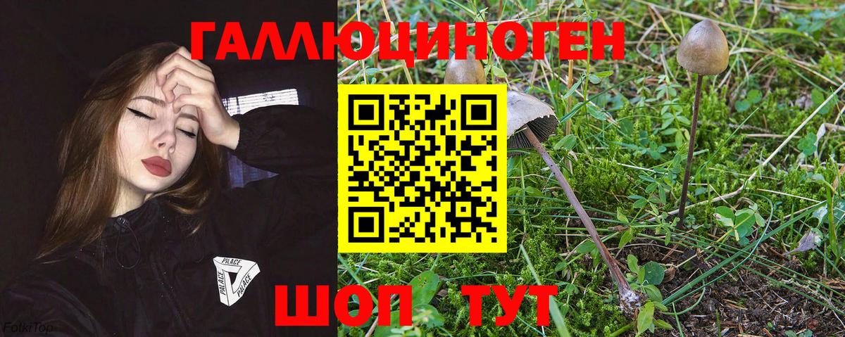 Псилоцибиновые грибы MAGIC MUSHROOMS Стрежевой
