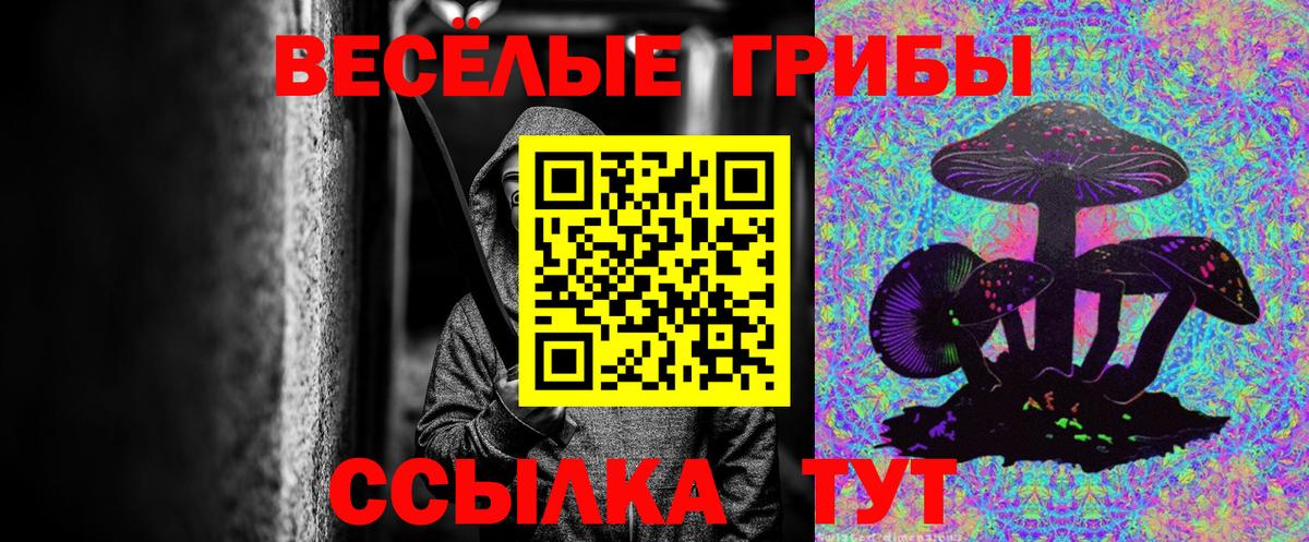 Стрежевой  Псилоцибиновые грибы MAGIC MUSHROOMS  Галлюциногенные грибы ЛСД  Вход с VPN 