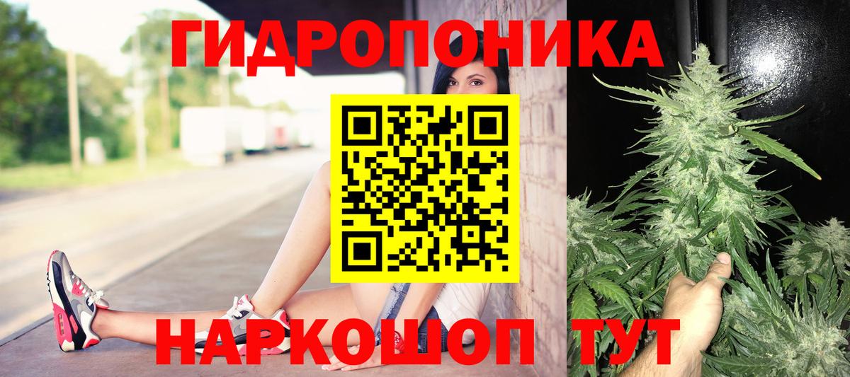 МАРИХУАНА Bruce Banner  Канабис планчик  Вход с VPN  Бошки марихуана конопля  Стрежевой  Бошки марихуана SATIVA & INDICA 